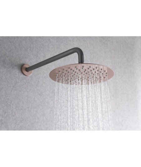 Ducha  gris champan empotrada pared line IMEX - GPD038/GC