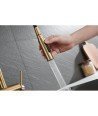 Grifo extraíble oro cepillado de cocina Berna Imex | GCE026/OC