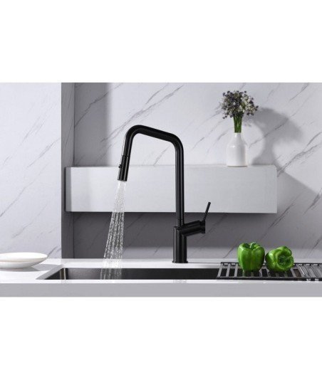 Grifo extraíble black gun metal de cocina Bonn imex | GCE024/BGM