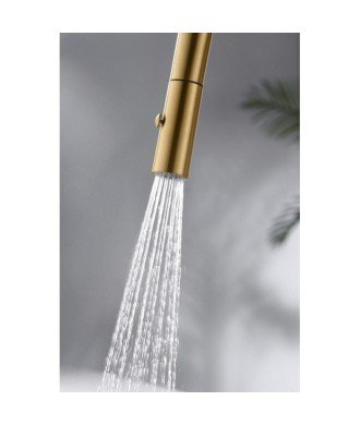 Grifo extraíble oro cepillado de cocina Bonn imex | GCE024/OC