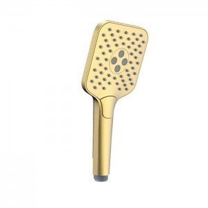 Mango de ducha en oro...