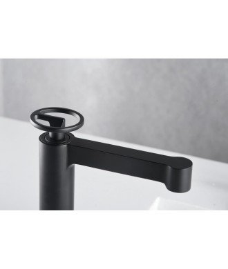 Grifo negro mate caño alto de lavabo Olimpo IMEX | BDC033-3NG