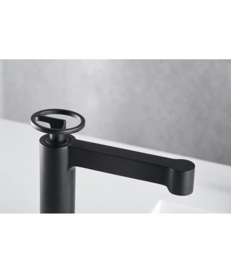 Grifo negro mate monomando lavabo Olimpo IMEX | BDC033-1NG