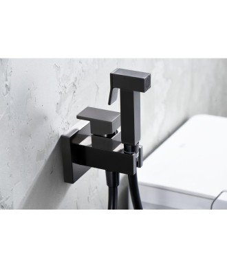 Grifo de bidé black gun metal empotrado Irlanda imex
