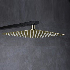 Rociador oro de ducha...