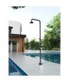 Ducha de piscina negro mate Michigan