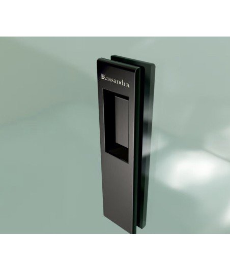 Mampara reducida fijo más puerta corredera Siena | Negro mate