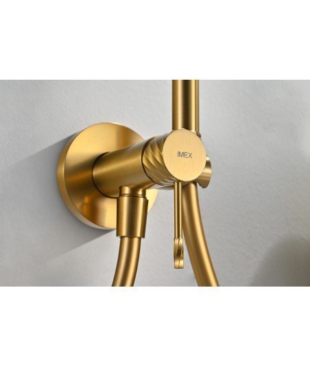 Grifo Empotrado De Bidé Bless Oro Cepillado IMEX